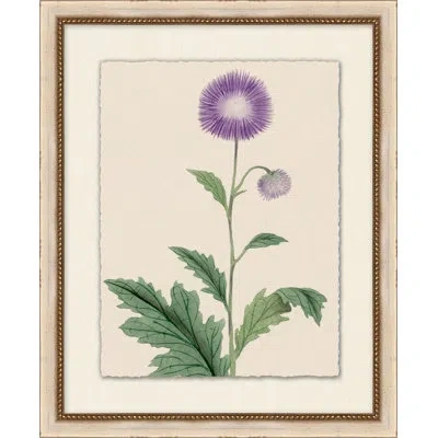 Wendover Art Group Prisma Floral 18 - Picture Frame Painting In Green;beige;purple