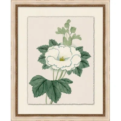Wendover Art Group Prisma Floral 9 - Painting In White;green