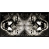 Wendover Art Group Puma Mirror Panel 2 In Black,gray,white