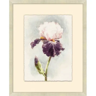 Wendover Art Group Purple Iris 1 - Picture Frame Painting On Paper In White;green;purple