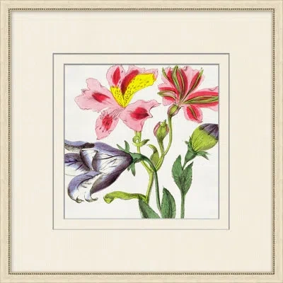 Wendover Art Group Radiant Blossoms 4 - Picture Frame Painting On Paper In Green;yellow;pink;purple