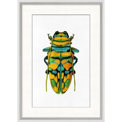 Wendover Art Group Rainbow Insect 6 In Green,yellow,navy,turquoise