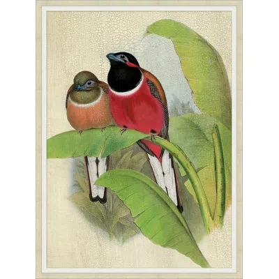 Wendover Art Group Red Birds 1 - Picture Frame Painting On Paper In Multi