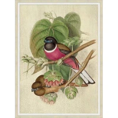 Wendover Art Group Red Birds 2 - Picture Frame Painting On Paper In Black;brown;green;pink