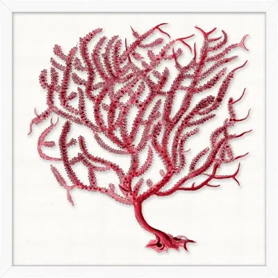 Wendover Art Group Red Branch Coral 3 By Lillian August - Picture Frame Graphic Art On Acrylic