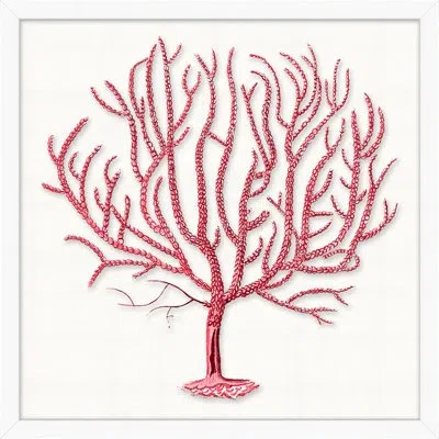 Wendover Art Group Red Branch Coral 5 By Lillian August - Picture Frame On Acrylic