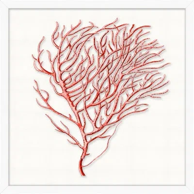 Wendover Art Group Red Branch Coral 6 By Lillian August - Picture Frame Graphic Art On Acrylic