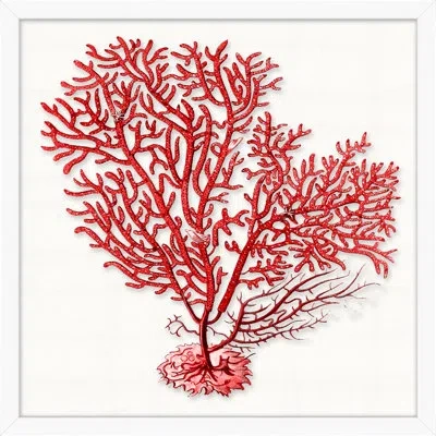 Wendover Art Group Red Branch Coral 7 By Lillian August - Picture Frame On Acrylic