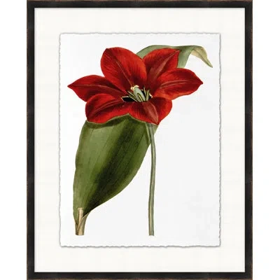 Wendover Art Group Red Flower 3 - Picture Frame Painting On Paper In Green;red
