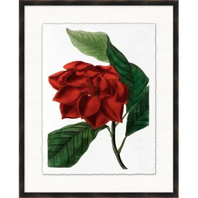 Wendover Art Group Red Flower 4 - Picture Frame Painting On Paper In Green;red