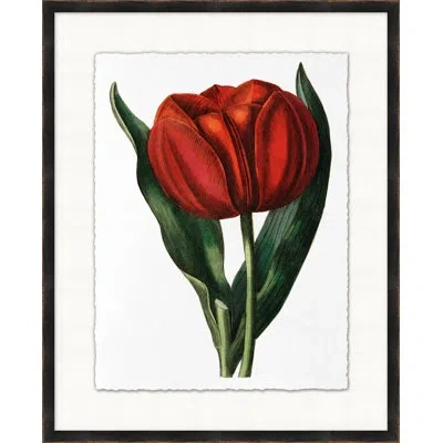 Wendover Art Group Red Flower 5 - Picture Frame Painting On Paper In White;green;red