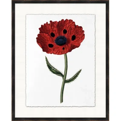 Wendover Art Group Red Flower 6 - Picture Frame Painting On Paper In White;green;red