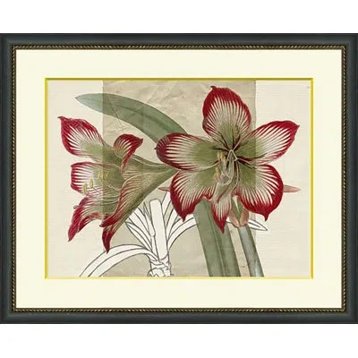 Wendover Art Group Red Flowers 1 - Picture Frame Painting On Paper In White;green;red;beige