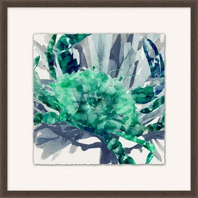 Wendover Art Group Reef Life 1 - Picture Frame Painting In White;green;gray