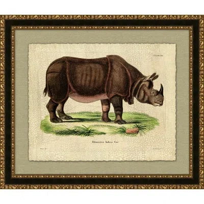 Wendover Art Group Rhinocerous Indicus - Picture Frame Painting On Paper In Brown