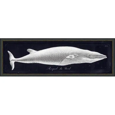 Wendover Art Group Rorqual Du Nord - Picture Frame Painting On Paper In Black;gray