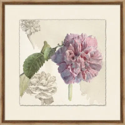 Wendover Art Group Rose Water 2 - Picture Frame Painting On Paper In Green;pink;cream