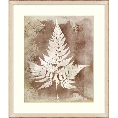 Wendover Art Group Routt Ferns 1 - Picture Frame Painting On Paper In Brown;white;ivory