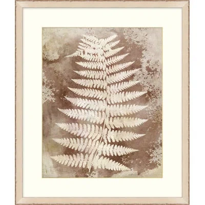 Wendover Art Group Routt Ferns 3 - Picture Frame Painting On Paper In Brown;white;ivory