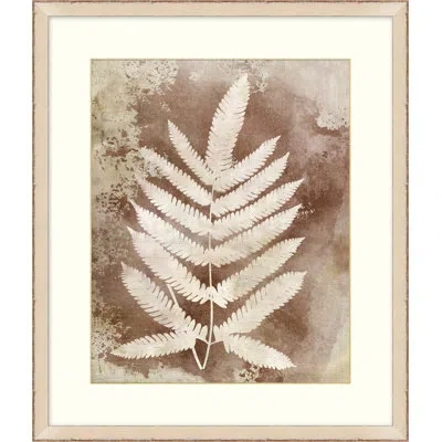 Wendover Art Group Routt Ferns 4 - Picture Frame Painting On Paper In Brown;white;ivory