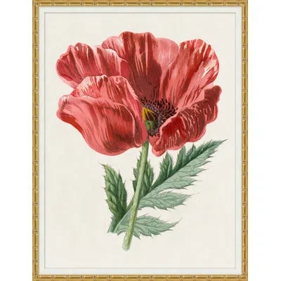 Wendover Art Group Ruby Floral 1 - Picture Frame Painting On Paper In Green;red;beige