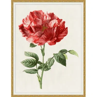 Wendover Art Group Ruby Floral 2 - Picture Frame Graphic Art On Paper In Green;red;beige