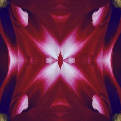 Wendover Art Group Ruby Kaleidoscope In Ruby Red,navy,white