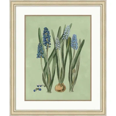 Wendover Art Group Sage And Blue Botanical 2 In Multi
