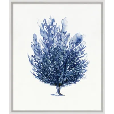 Wendover Art Group Sapphire Sealife 1 By Hamptons - Picture Frame Painting In Navy