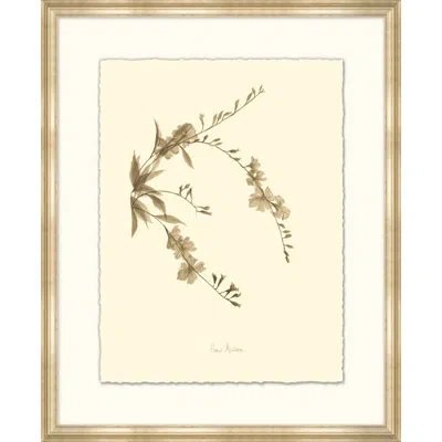 Wendover Art Group Sapphire Sky Flower - Picture Frame Painting On Paper In Brown;beige