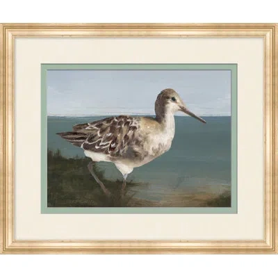 Wendover Art Group Sea Bird 1 - Picture Frame Painting On Paper In Blue;brown;navy;dark Green