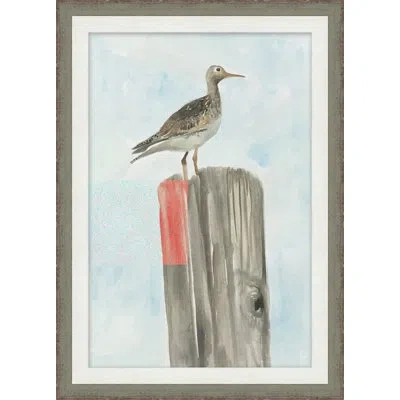 Wendover Art Group Sea Bird 1 - Picture Frame Painting On Paper In Multi