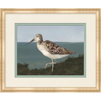 Wendover Art Group Sea Bird 2 - Picture Frame Painting On Paper In Multi