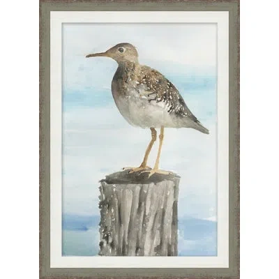 Wendover Art Group Sea Bird 2 - Picture Frame Painting On Paper In Multi