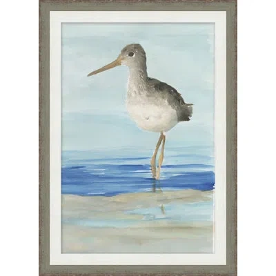 Wendover Art Group Sea Bird 3 - Picture Frame Painting On Paper In Blue;gray;beige
