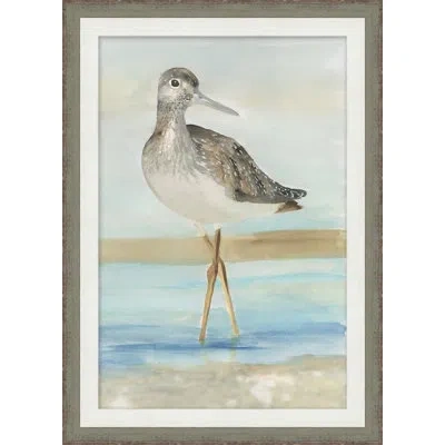 Wendover Art Group Sea Bird 4 - Picture Frame Painting On Paper In Multi