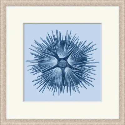Wendover Art Group Sea Specimin 1 - Picture Frame Painting In Blue;white