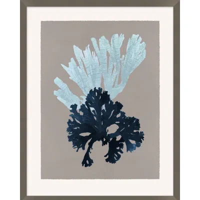 Wendover Art Group Seaweed On Taupe 3 By Hamptons - Picture Frame Painting On Paper In Blue;gray
