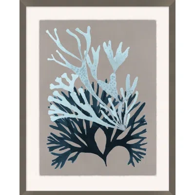 Wendover Art Group Seaweed On Taupe 6 By Hamptons - Picture Frame Painting On Paper In Blue;gray