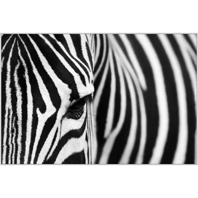Wendover Art Group Seeing Stripes By Lillian August - Seeing Stripes - Floater Frame Photograph On Canvas In Black;white