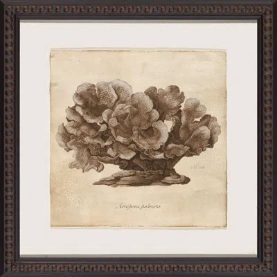 Wendover Art Group Sepia Sea Collection I - Picture Frame Painting On Paper In Brown;beige