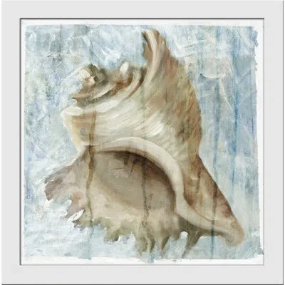 Wendover Art Group Shell Dreams Ii - Picture Frame Painting On Paper In Blue;brown