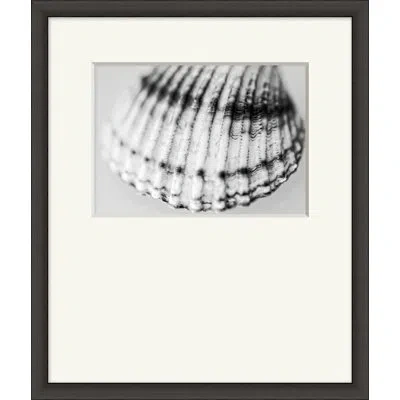Wendover Art Group Shell Portrait 6 - Picture Frame Photograph In Black;white