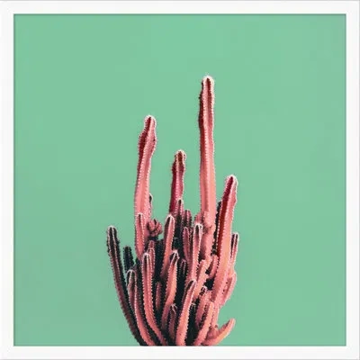 Wendover Art Group Sherbet Cactus 4 By Christopher Kennedy - Picture Frame Graphic Art On Paper In Green;red