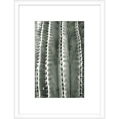 Wendover Art Group Silver Spike Small 1 By Christopher Kennedy - Picture Frame Photograph On Paper In Gray;silver