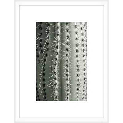 Wendover Art Group Silver Spike Small 2 By Christopher Kennedy - Picture Frame Photograph On Paper In Gray;silver