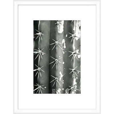 Wendover Art Group Silver Spike Small 4 - Picture Frame Photograph On Paper In Gray;silver