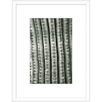Wendover Art Group Silver Spike Small 5 By Christopher Kennedy - Picture Frame Photograph On Paper In Gray;silver