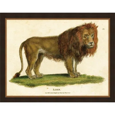 Wendover Art Group Small Antique Lion - Picture Frame Painting On Paper In Brown;green