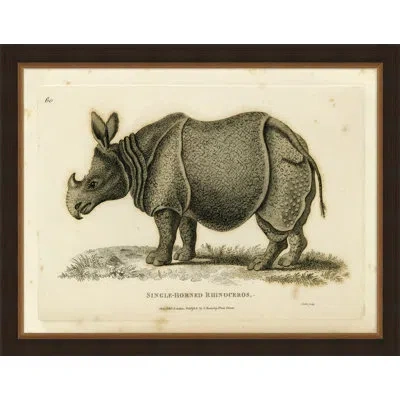 Wendover Art Group Small Antique Rhino - Picture Frame Graphic Art On Paper In Gray